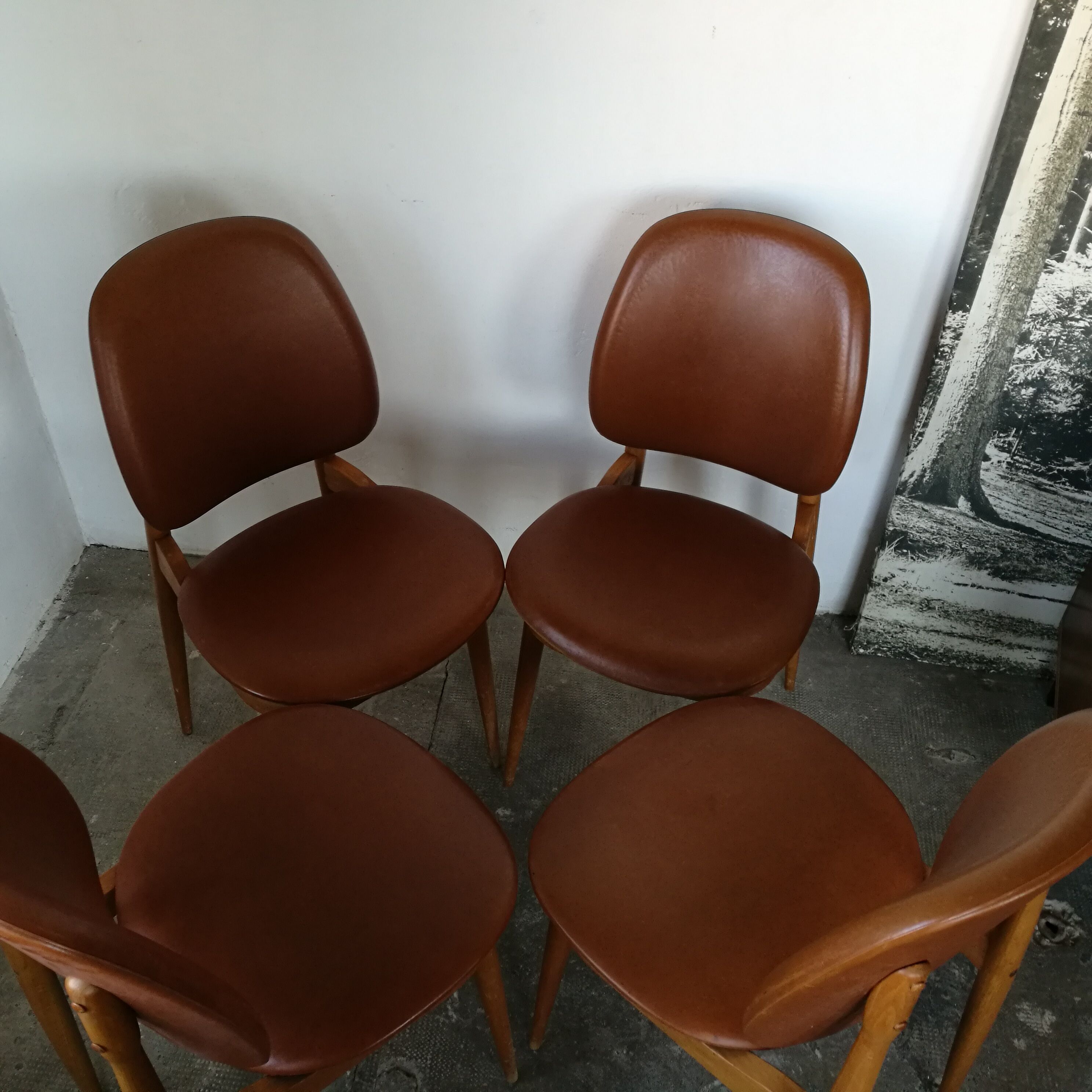 Set of 4 Baumann chairs, Pegasus model