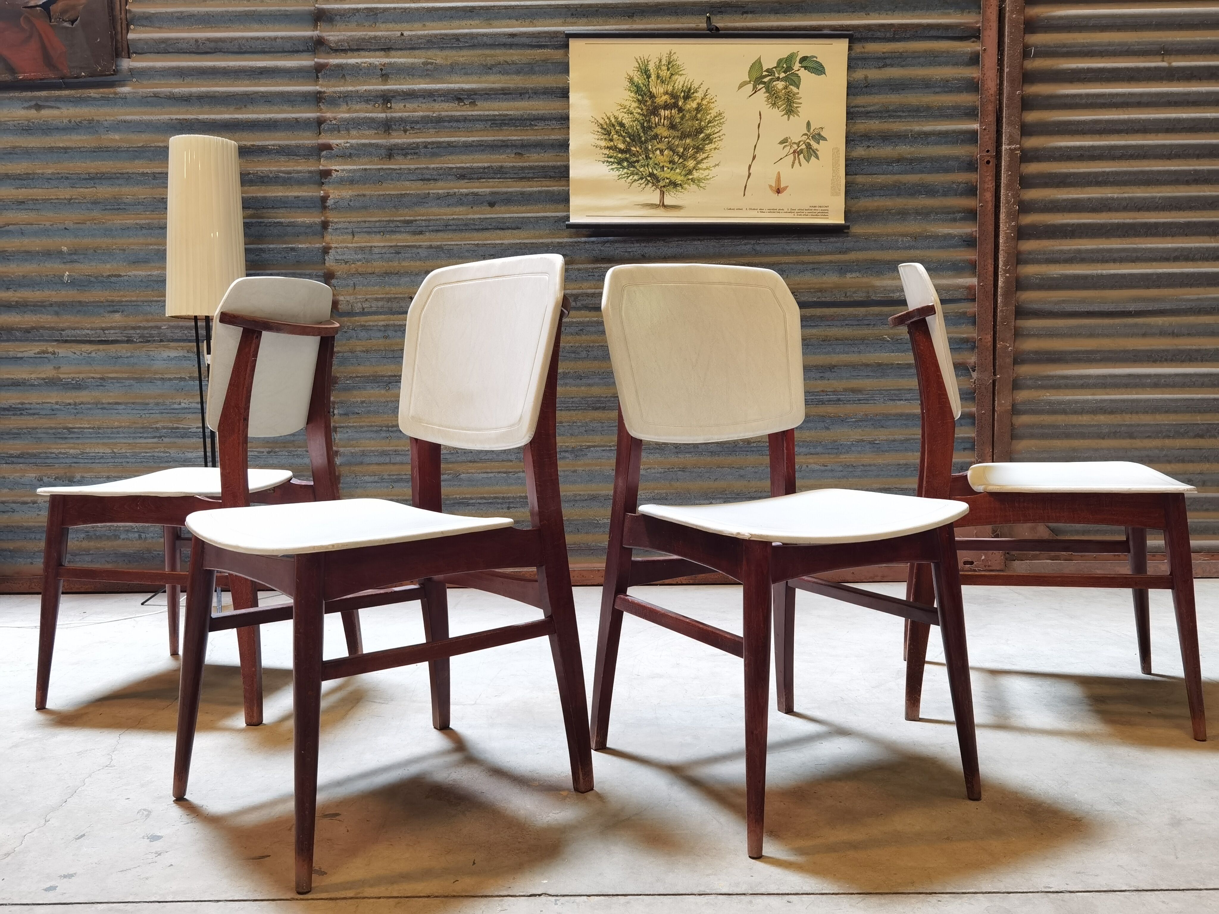 Lot de 4 chaises allemande Kondor Möbelwerk 1960