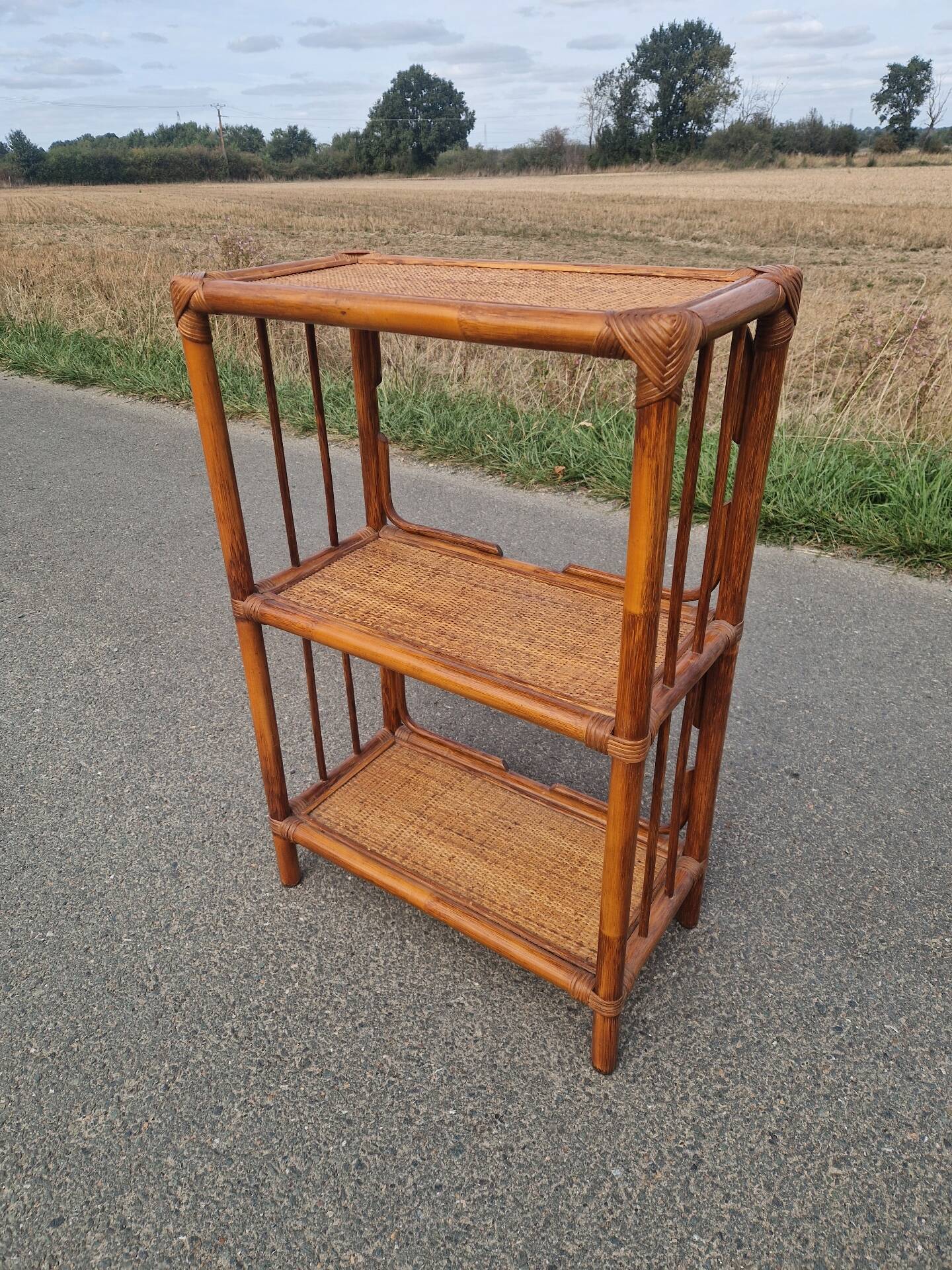 Étagère bibliothèque en rotin