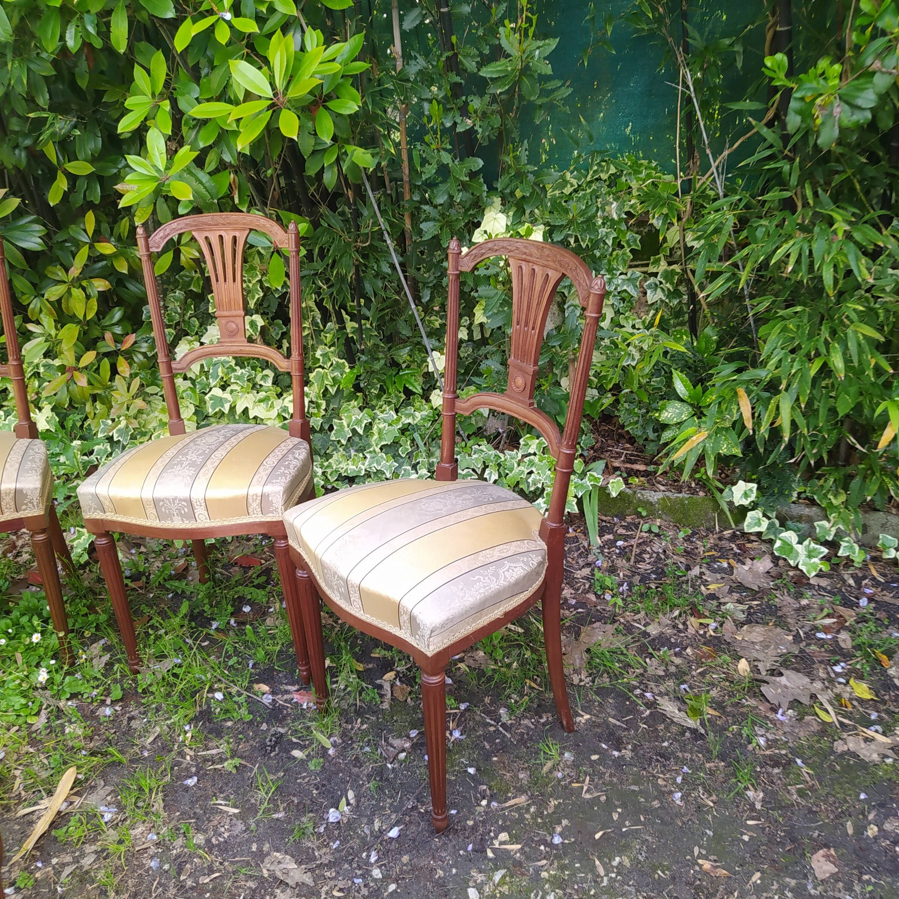 4 old chairs from the early 20th century in mahogany