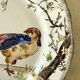 Service de table assiettes et plats Gien modèle grands oiseaux