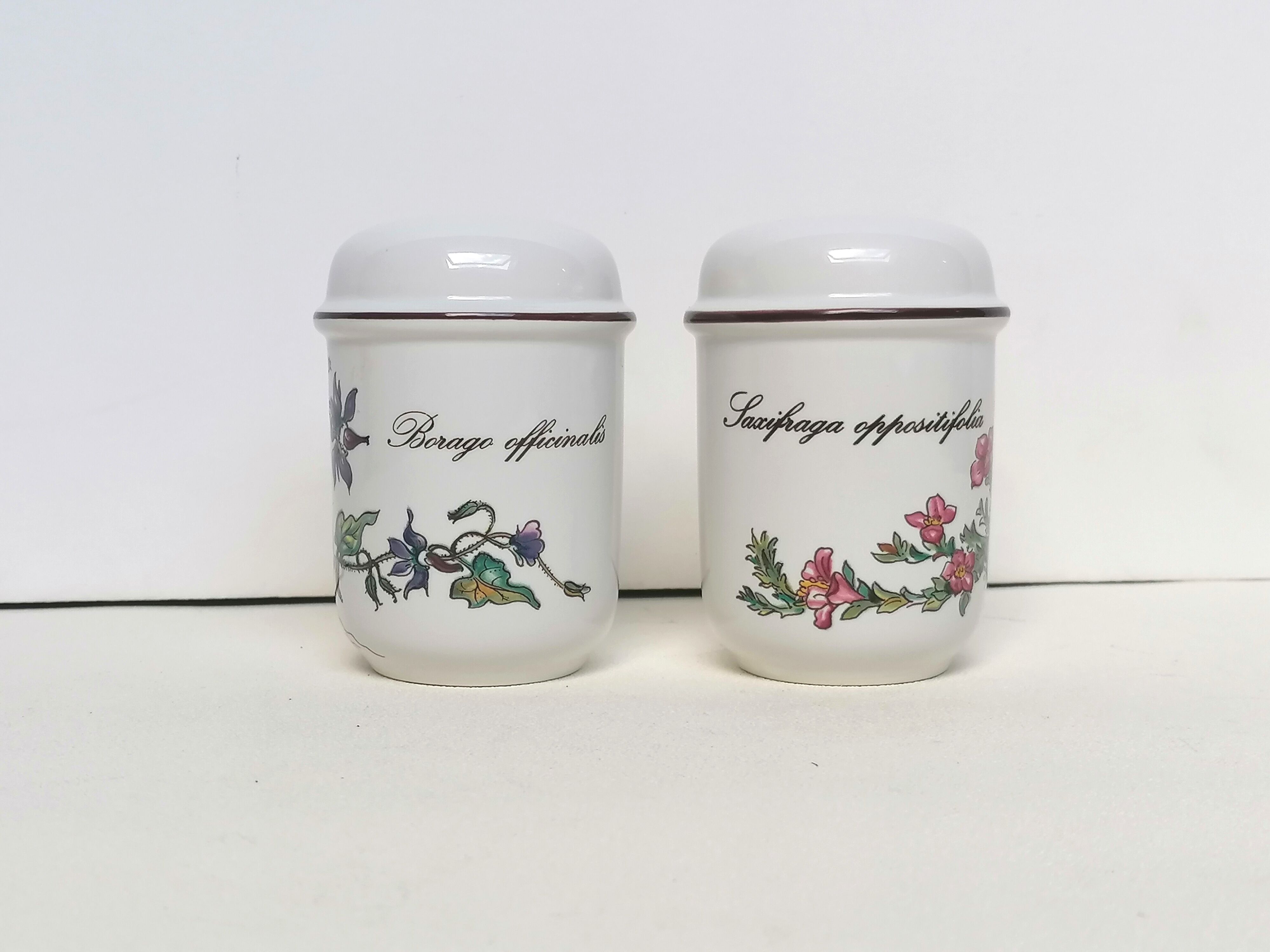 Salière and pepper shaker Villeroy and Boch botanical decoration