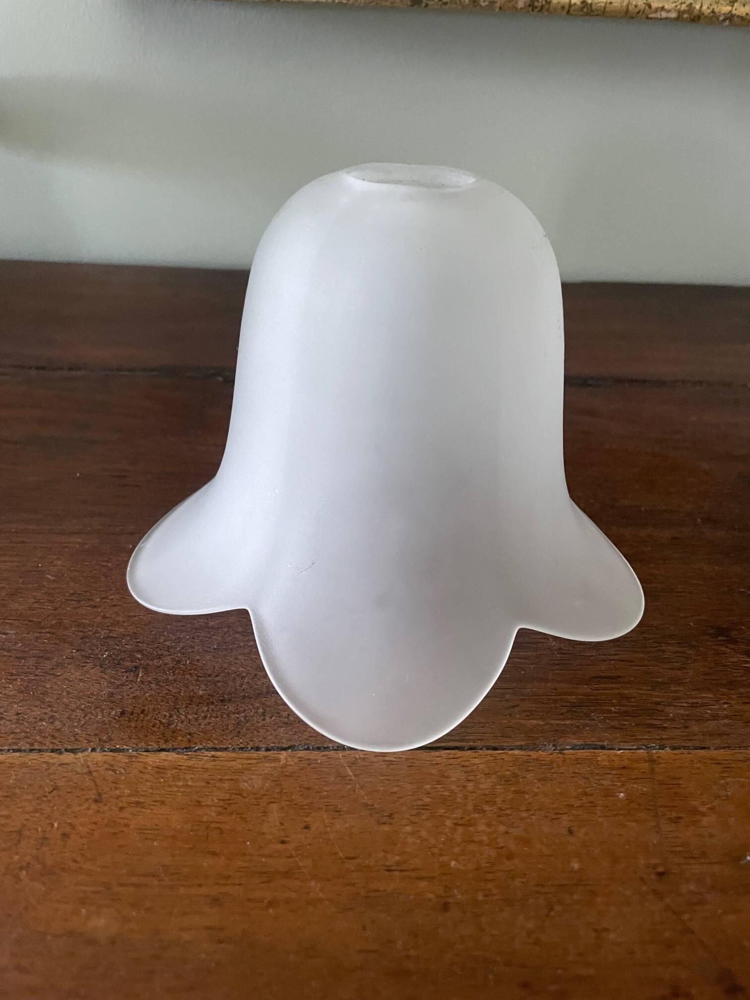 frosted glass tulip