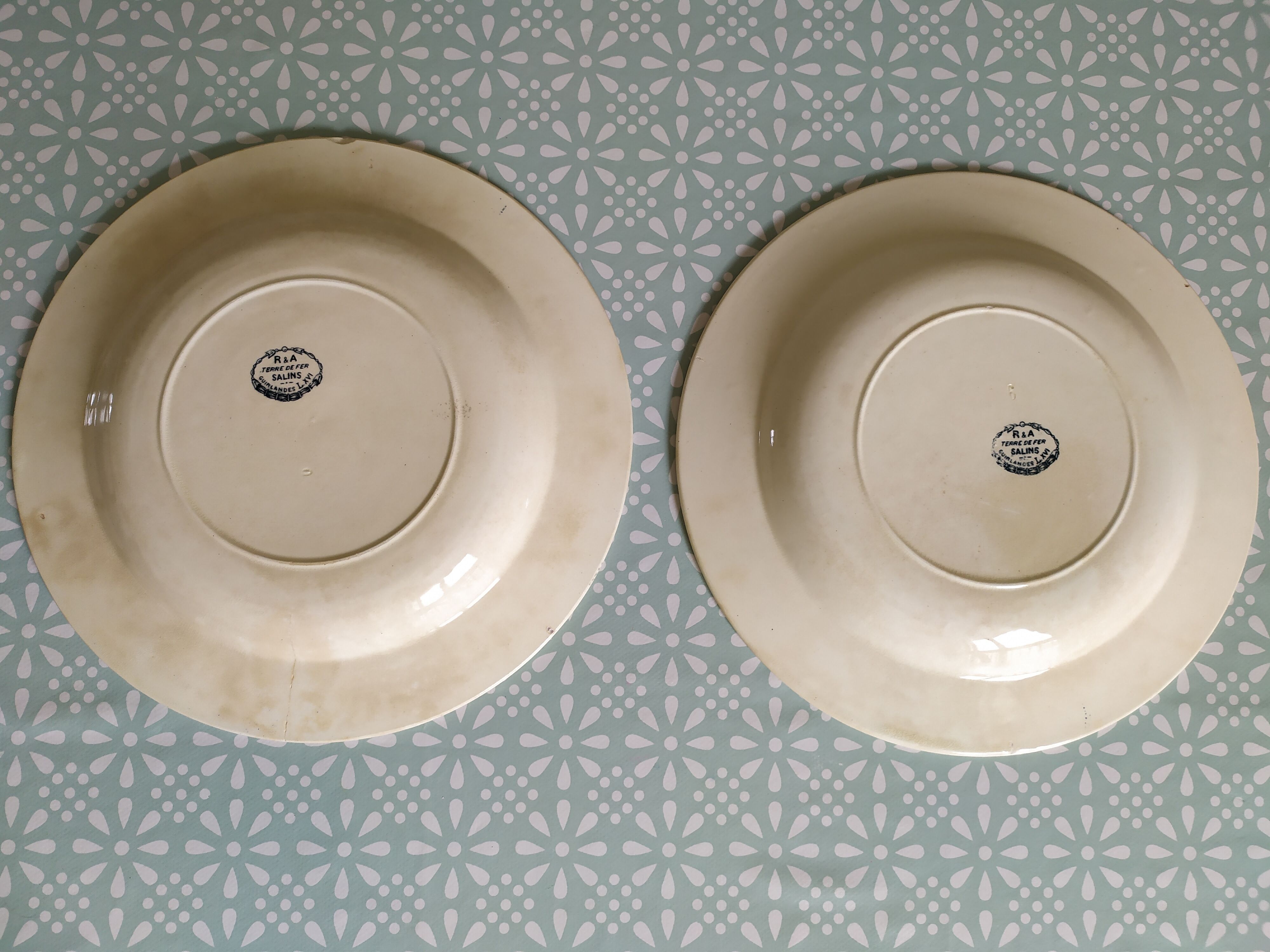 Set of 2 plates Terre de Fer Salins model garland louis XVI
