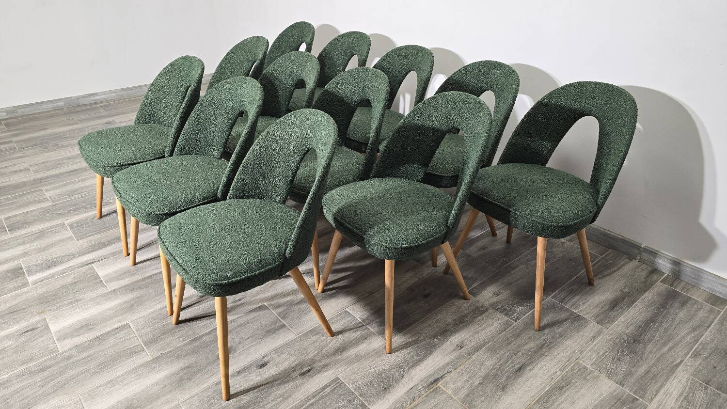 Dining Chairs by Antonin Suman, 1960s, Set of 12