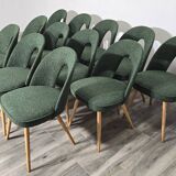 Dining Chairs by Antonin Suman, 1960s, Set of 12