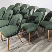 Dining Chairs by Antonin Suman, 1960s, Set of 12