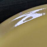 50 s plate