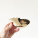 Vintage brass shell ashtray