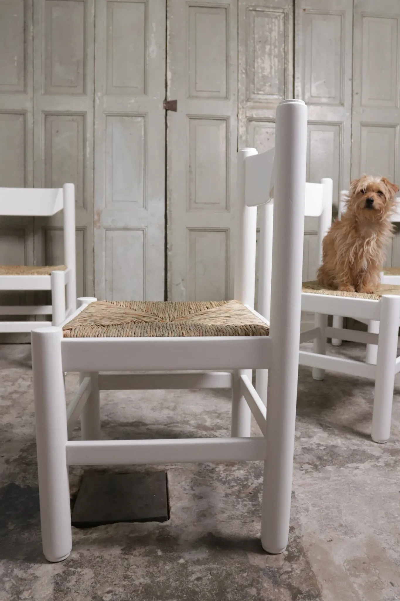 Set of 4 white rush dining chairs – Magistretti / Perriand style, 1970s