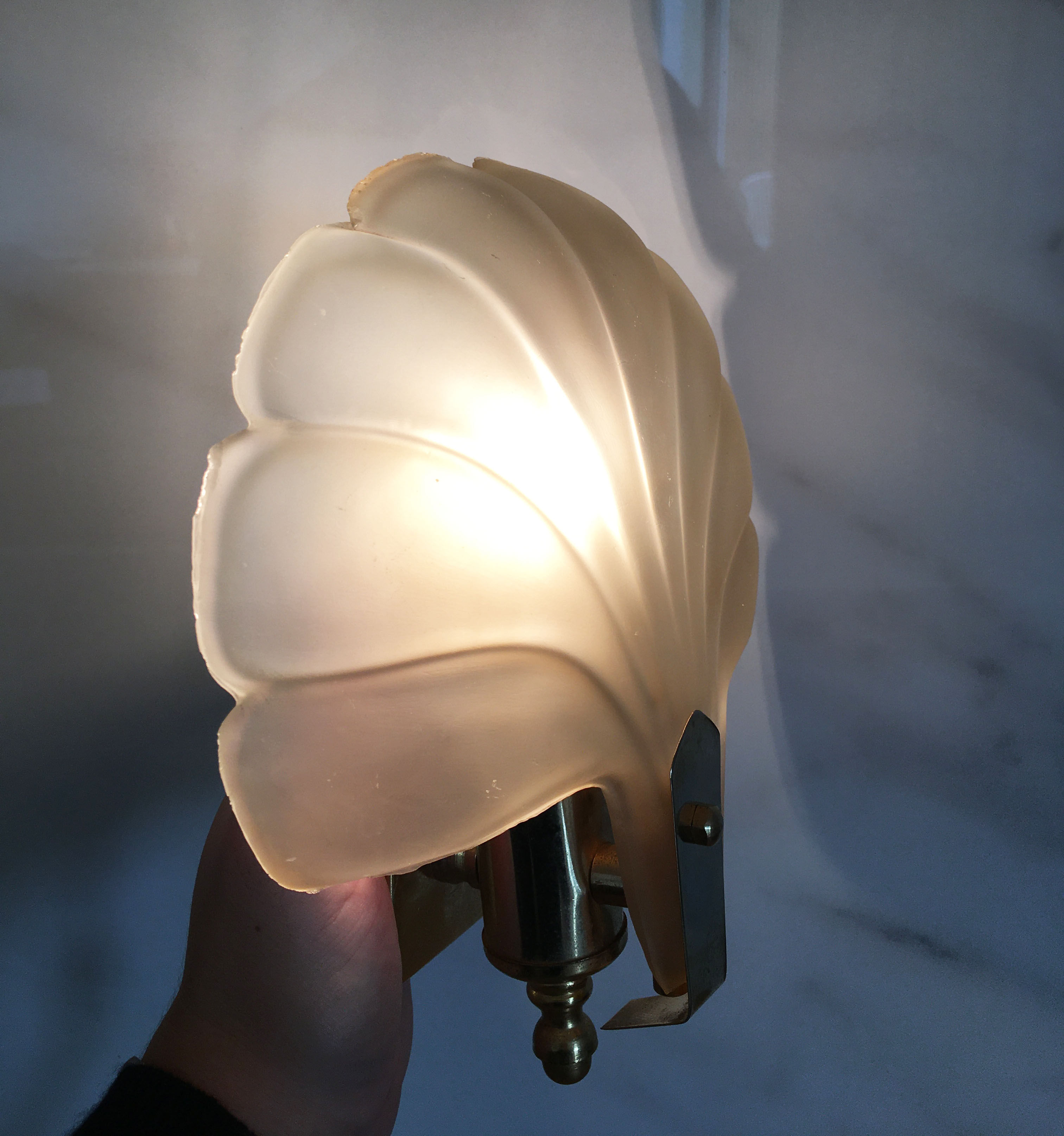 Pair of glass shell appliques