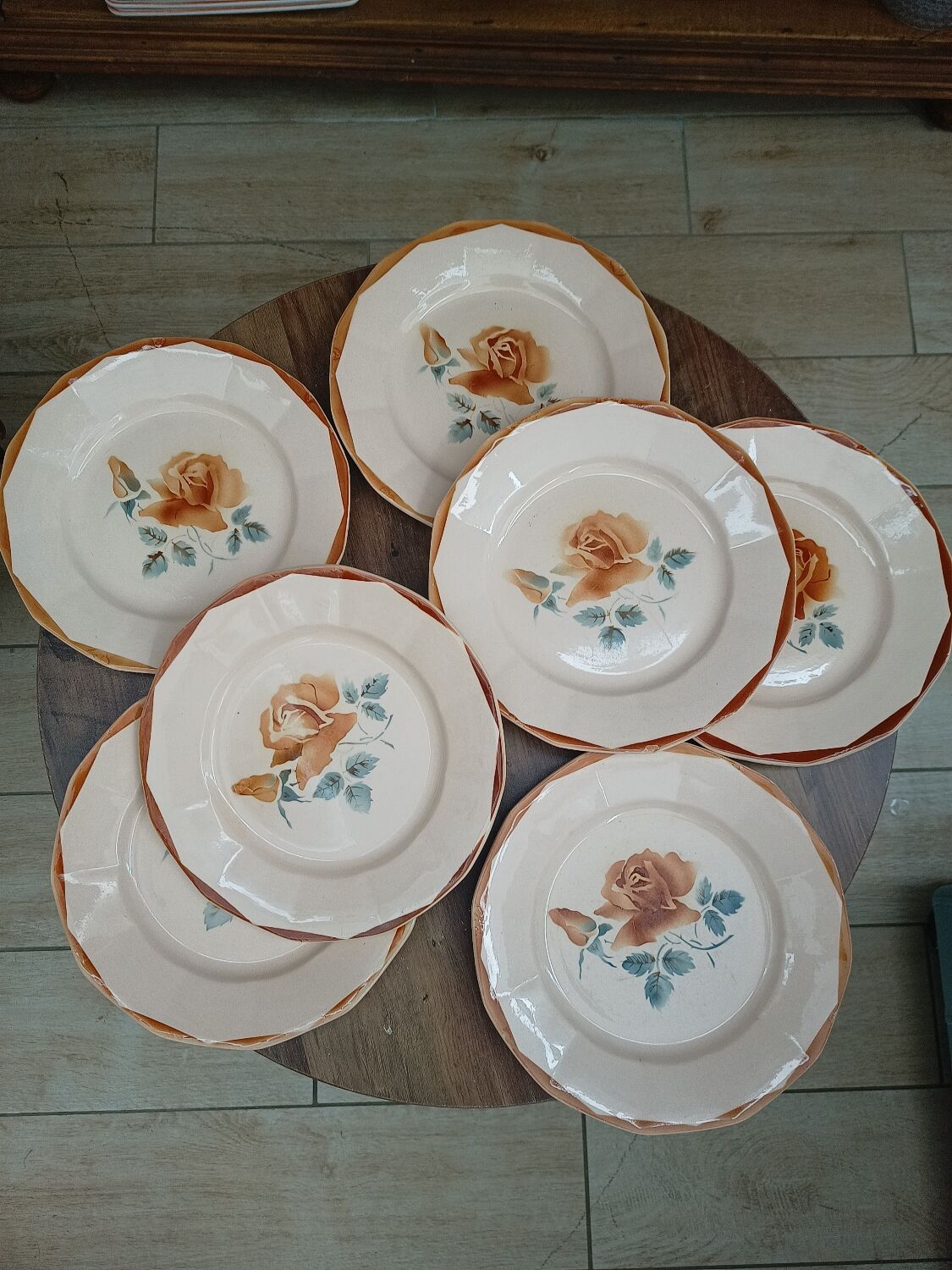 Set of 7 plates digoin Sarreguemines