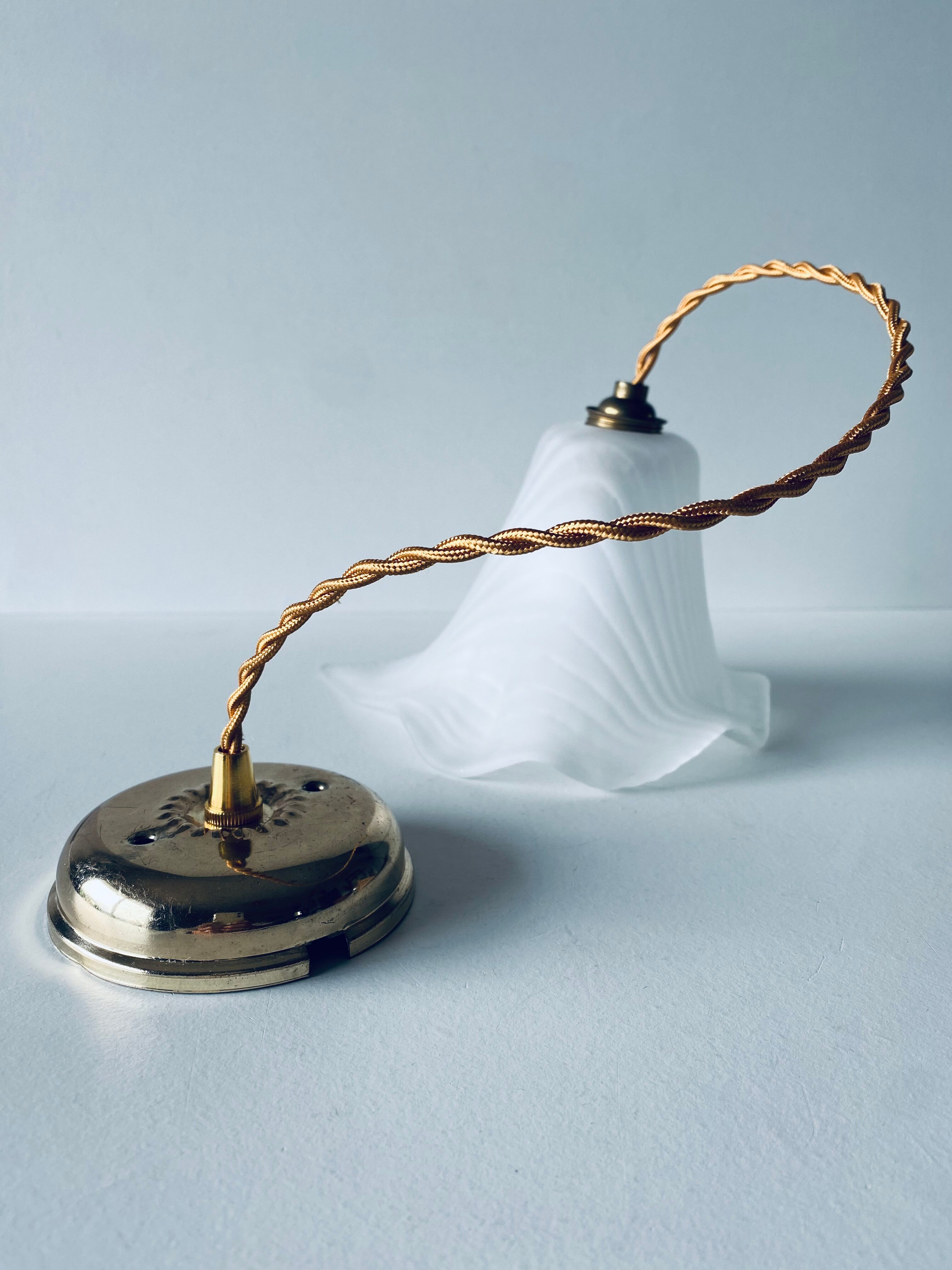 Flower suspension in glass paste