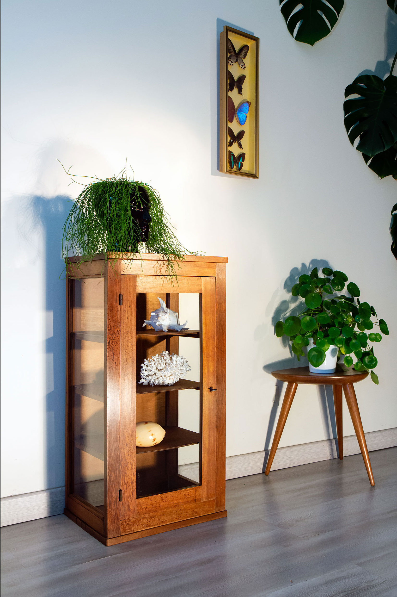 Old showcase to install in oak