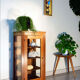 Old showcase to install in oak