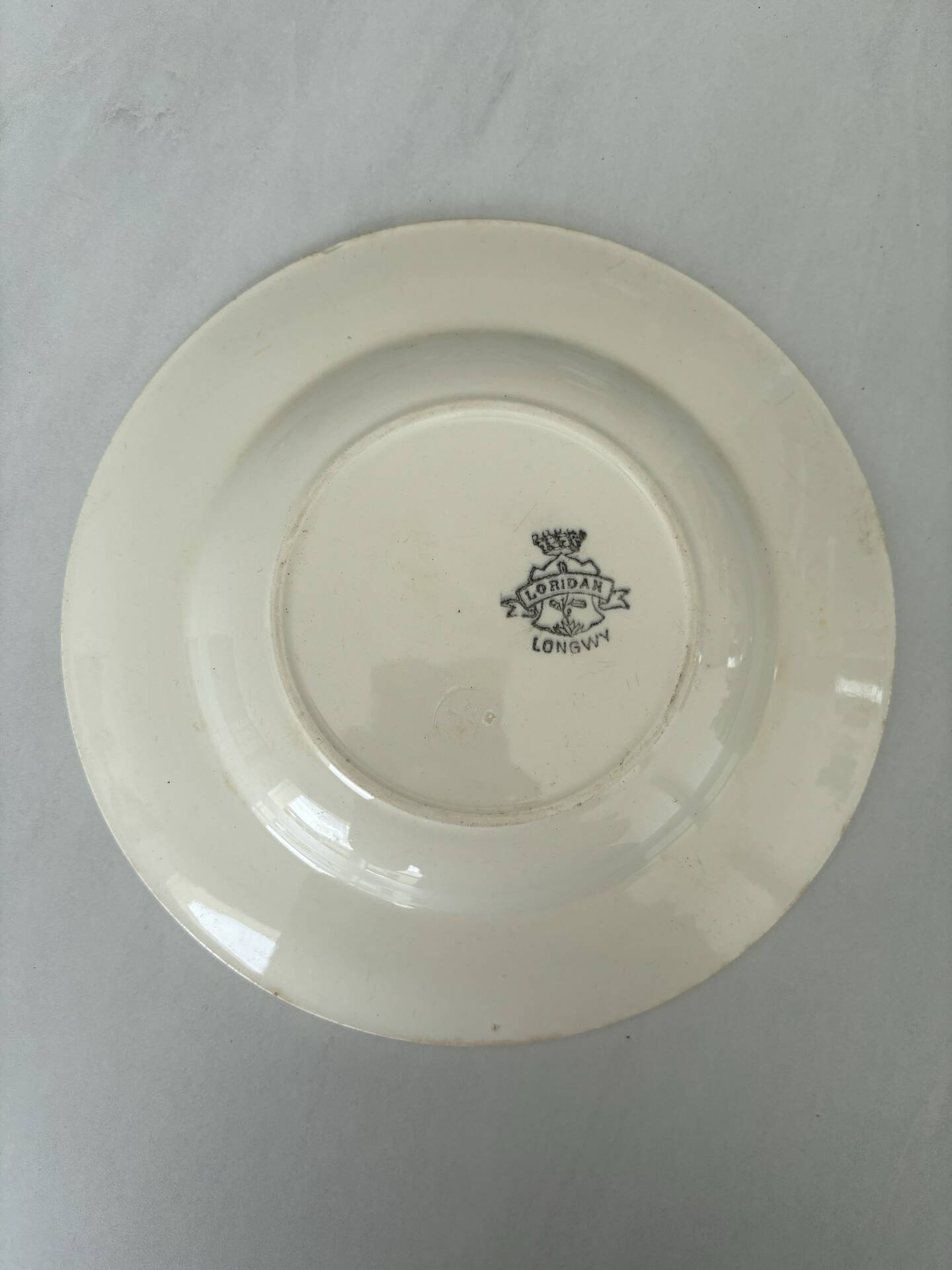 Hollow plate Longwy ironstone polychrome purple and green model L