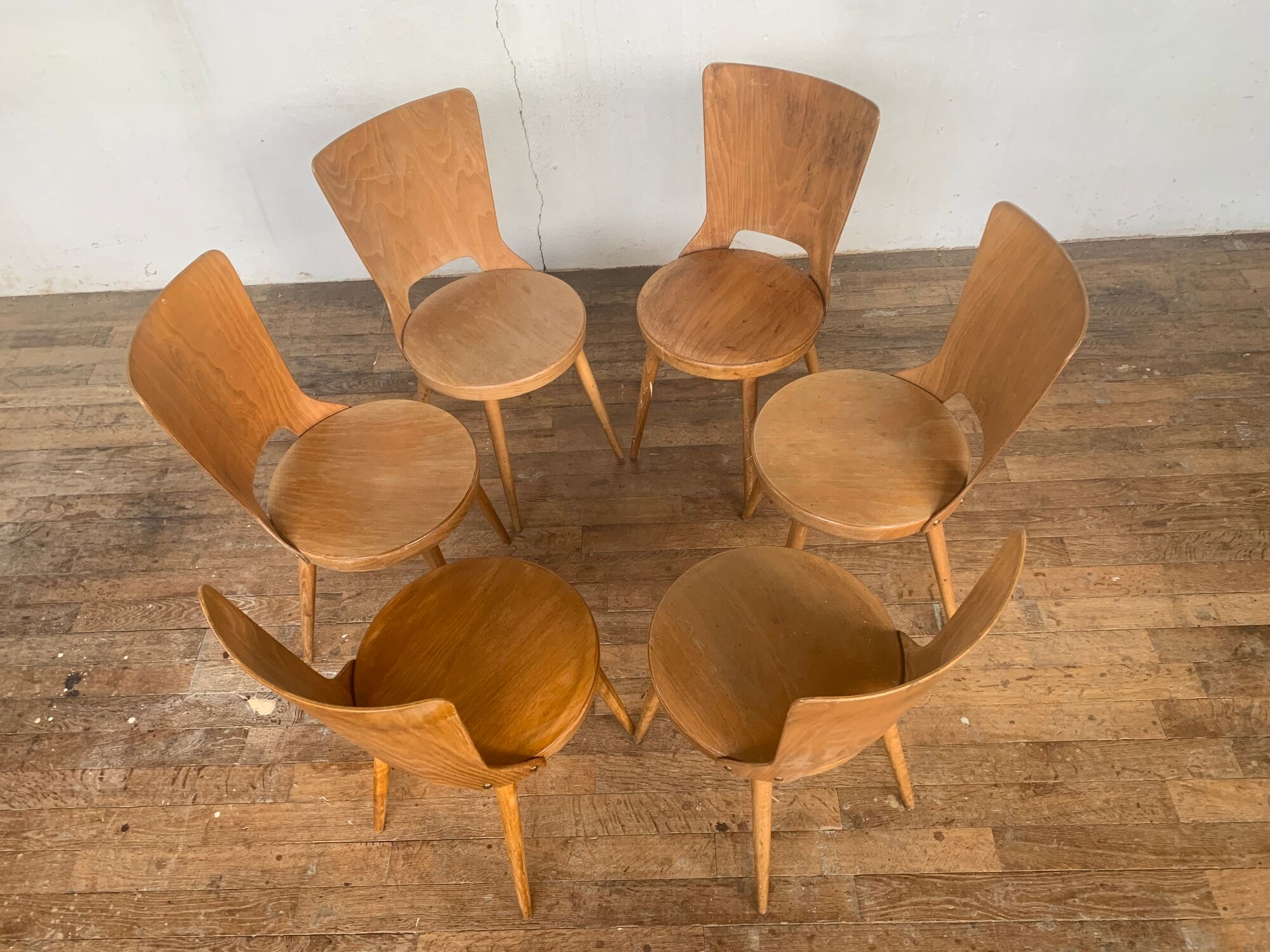 Series of 6 chairs bistro Baumann model Dove year 1950/1960