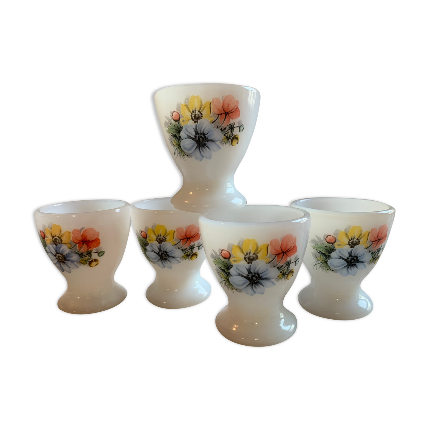 Set of 5 cockroaches Arcopal