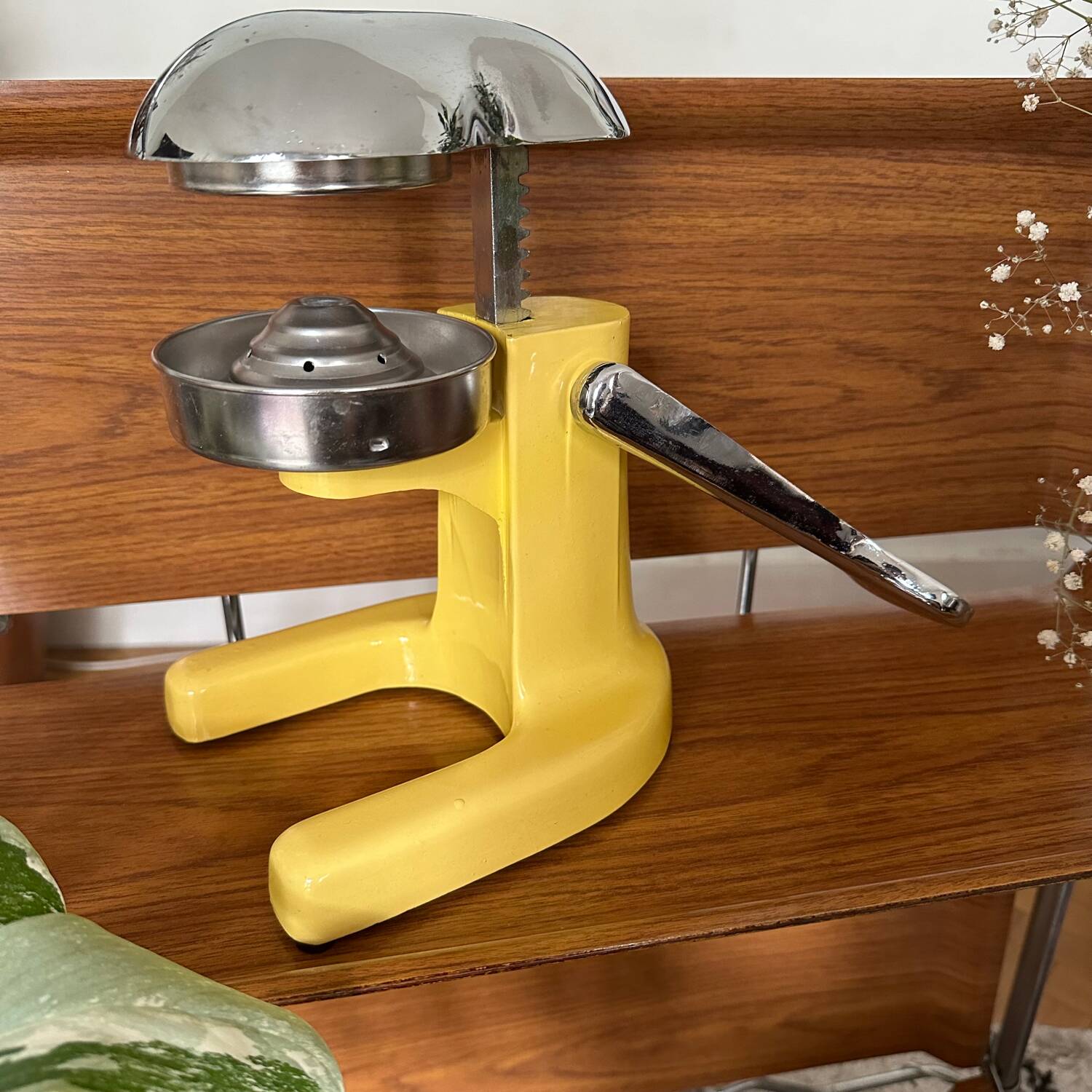 Vintage manual citrus press