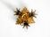 Beautiful small ceiling lamp by Banci Firenze, Italy, from the 1960s