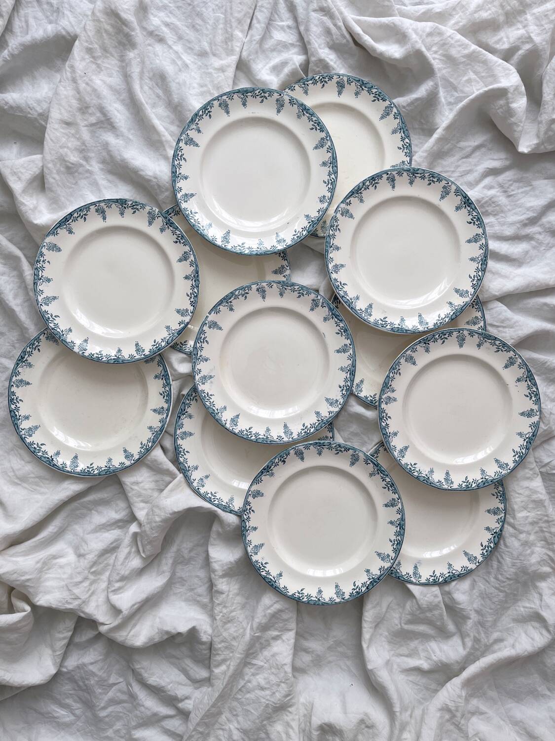 12 ironstone dinner plates “Florence” Longwy
