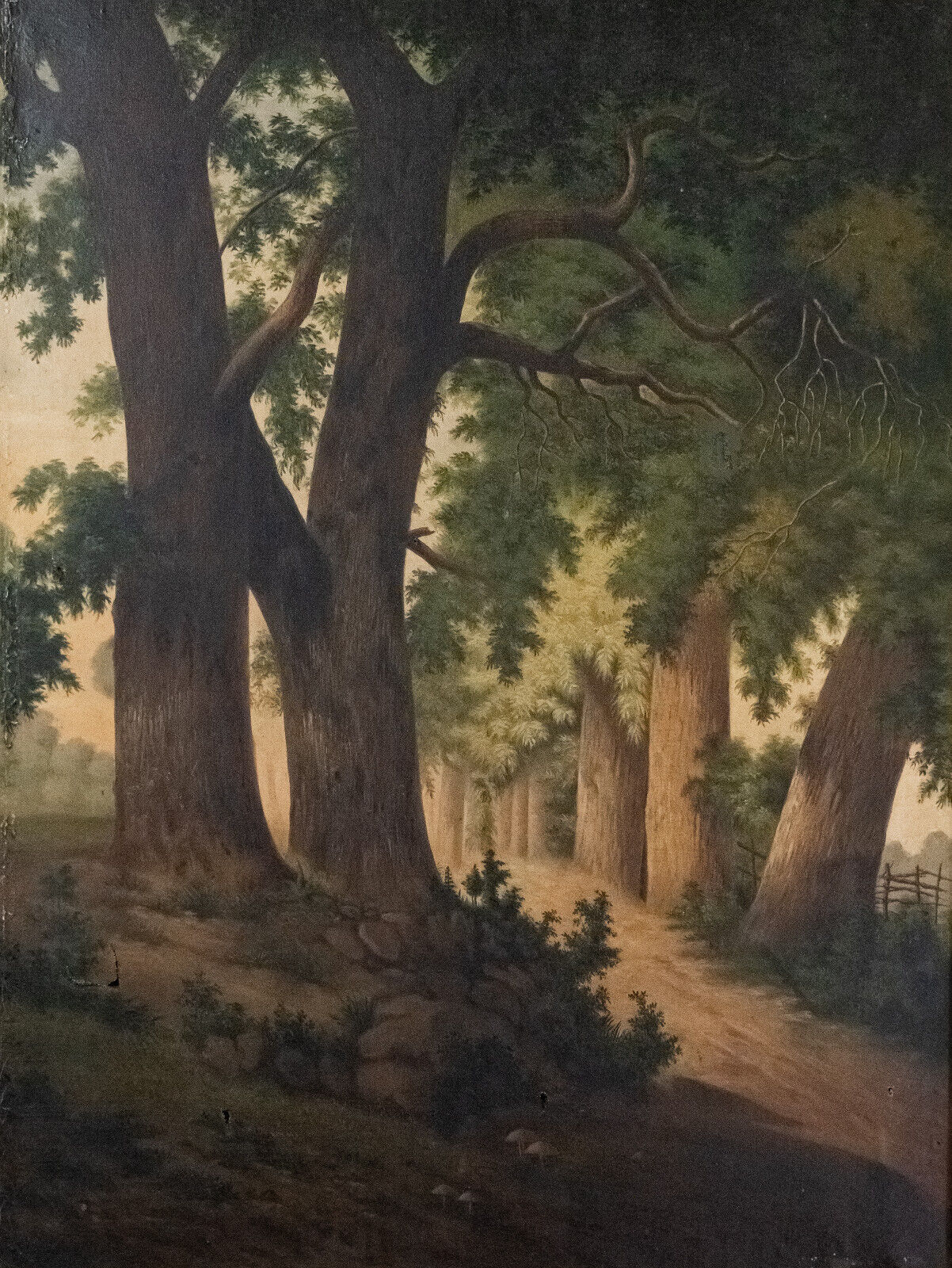Oil on canvas undergrowth scene early twentieth century