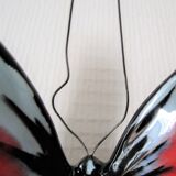 Vallauris polychrome glazed ceramic butterfly