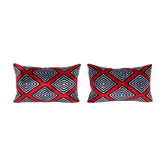 Paire de coussins