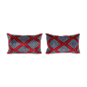 Pair of cushions
