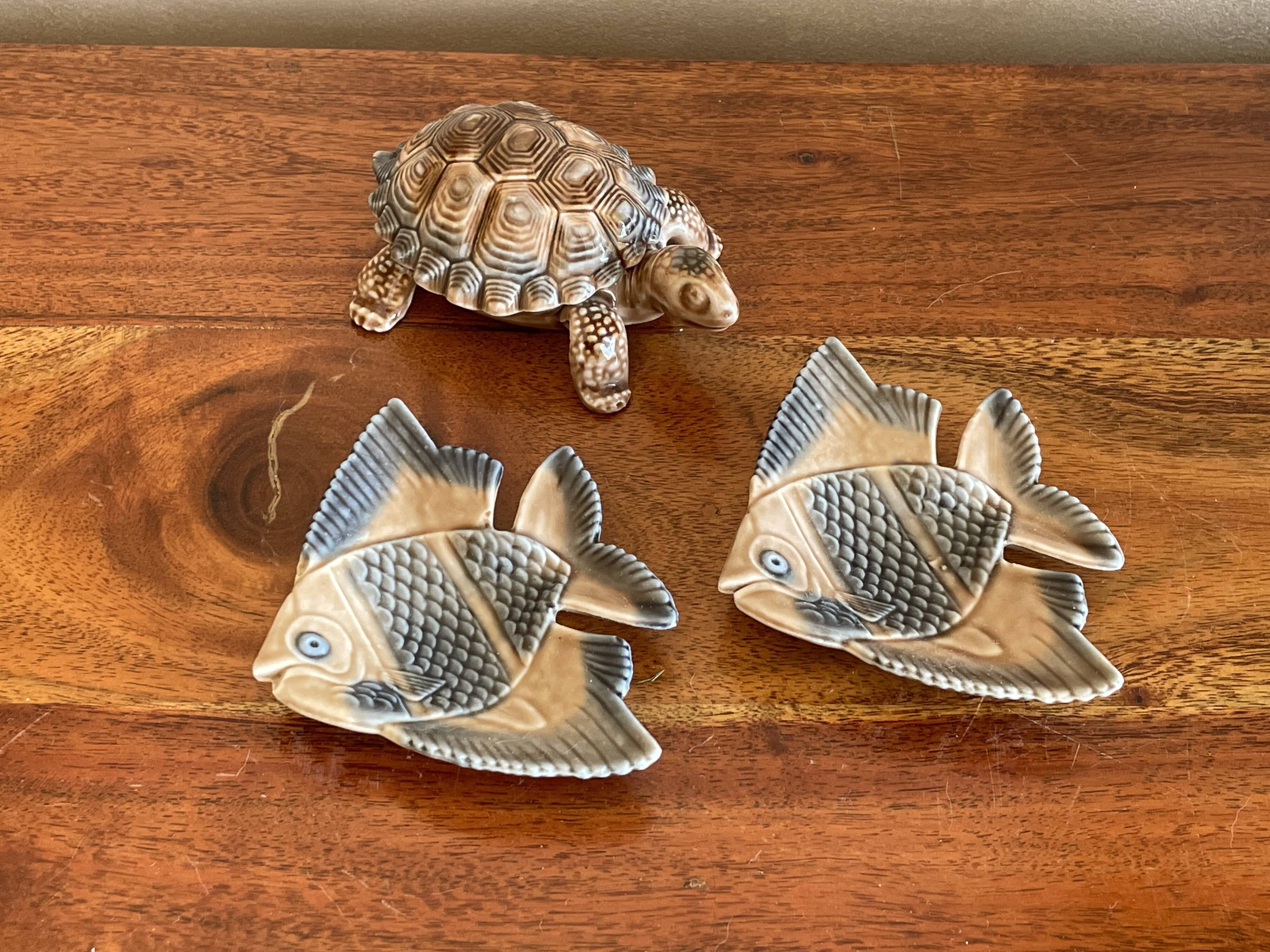 Empty fish pockets turtle Wade Ireland