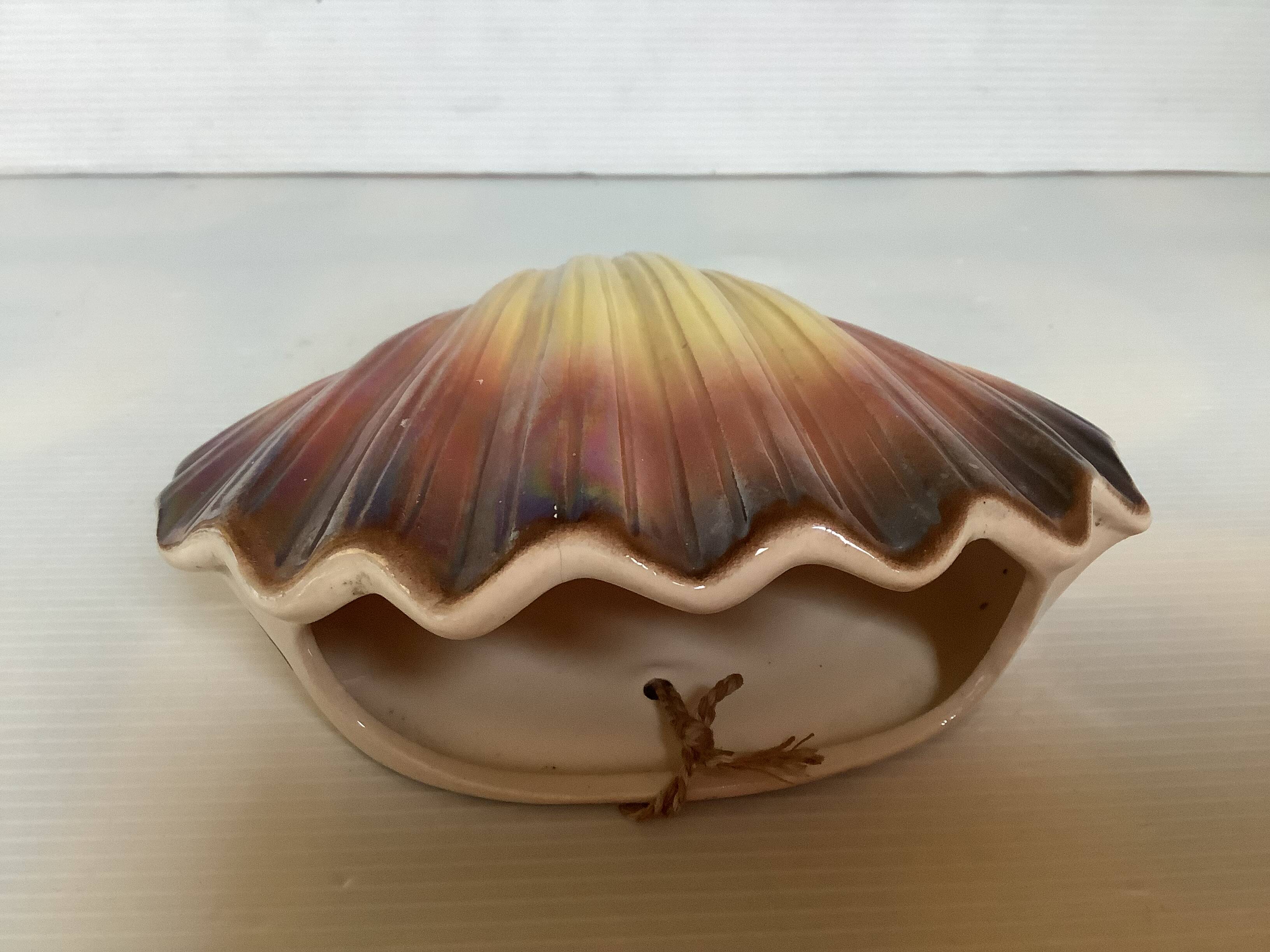 Scallop shell flower vase