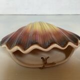 Scallop shell flower vase
