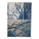 Cyanotype photographique