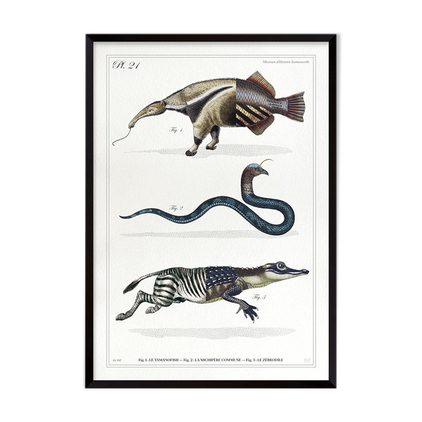 3 chimeras lithograph animal engraving