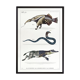 3 chimeras lithograph animal engraving