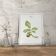 Botanical board walnut