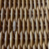 MR10 chair, Mies Van Der Rohe