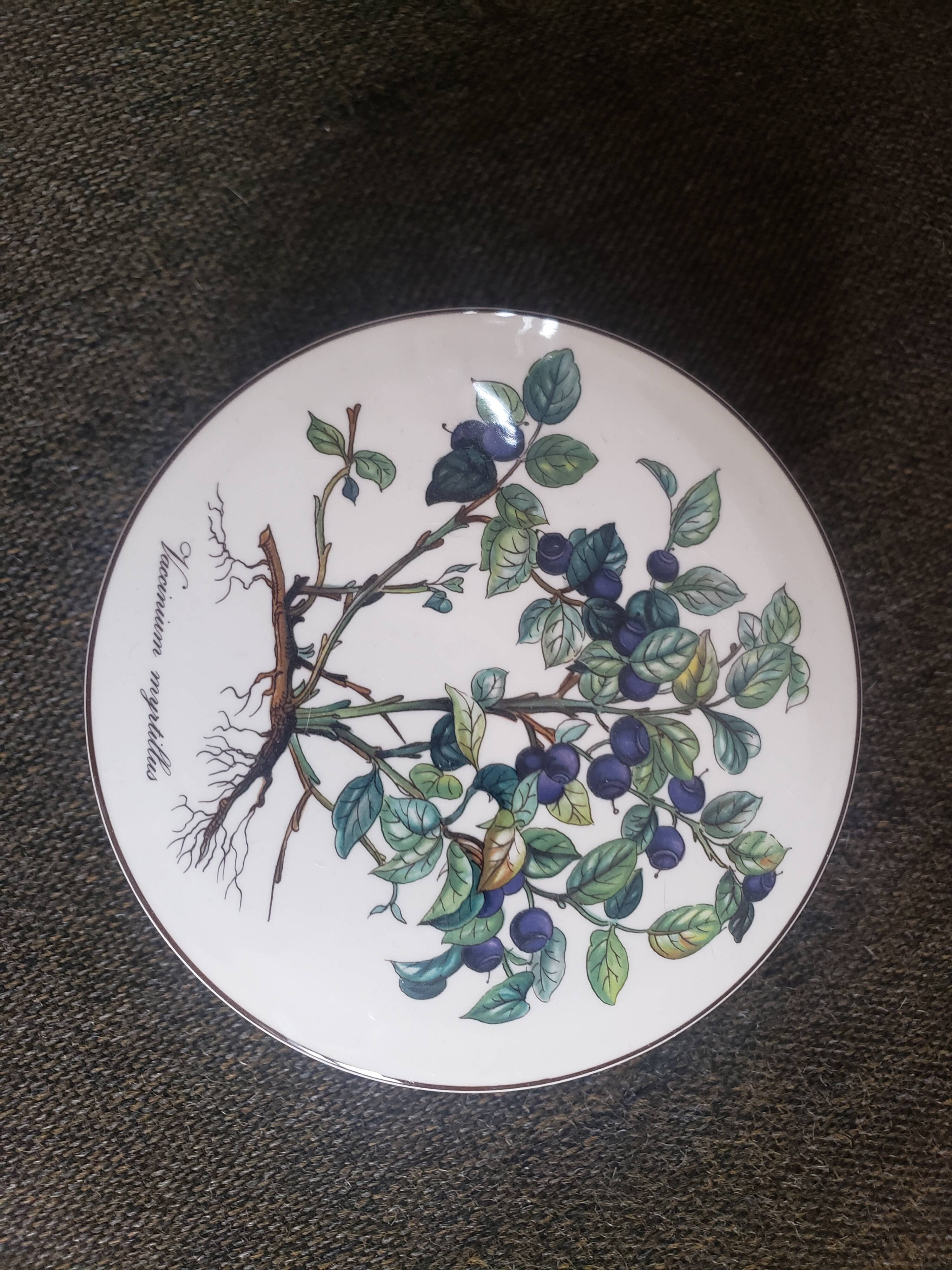 Porcelain box blueberries Villeroy and Boch