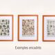 Gravure ancienne 1922, Fleurs annuelles, botanique, jardin • Lithographie, illustration originale