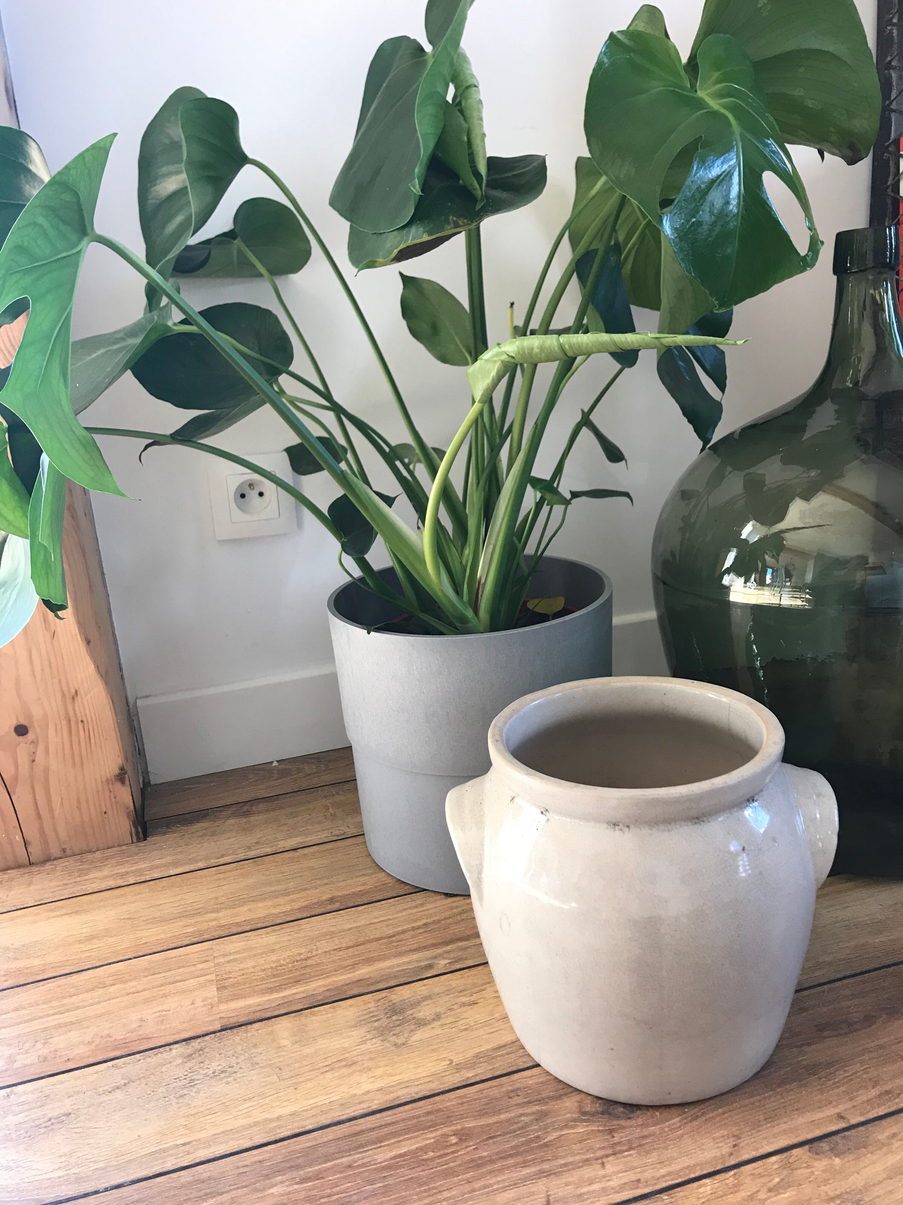 5l sandstone pot