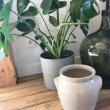 5l sandstone pot