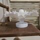 Vintage Flower / White Shell Wall Light – Very beautiful artistic model