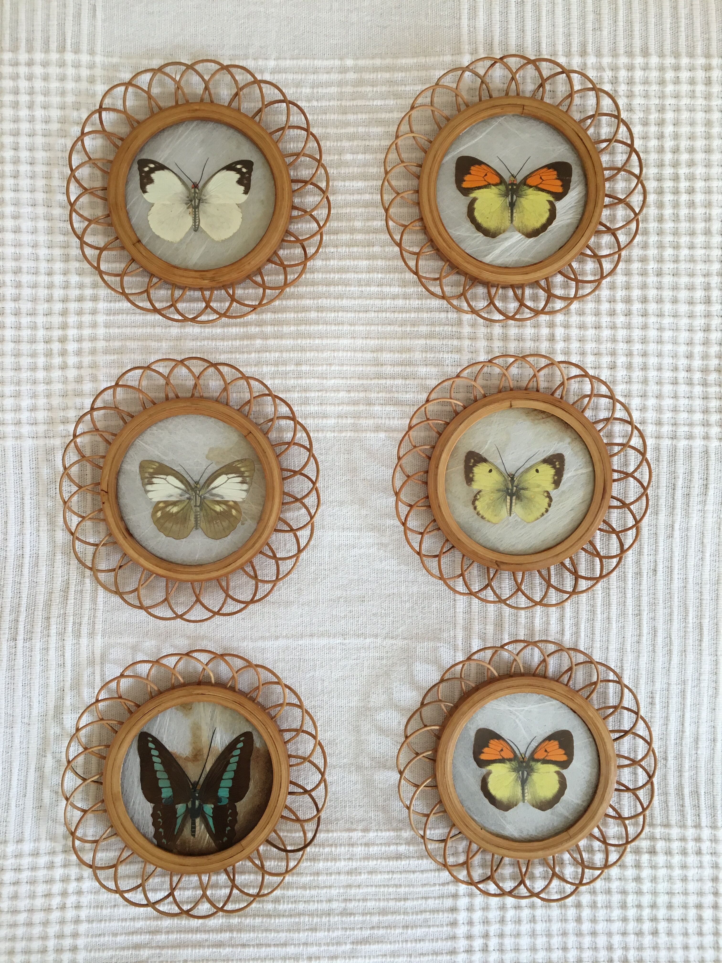 Lot of 6 wooden frames with butterfly