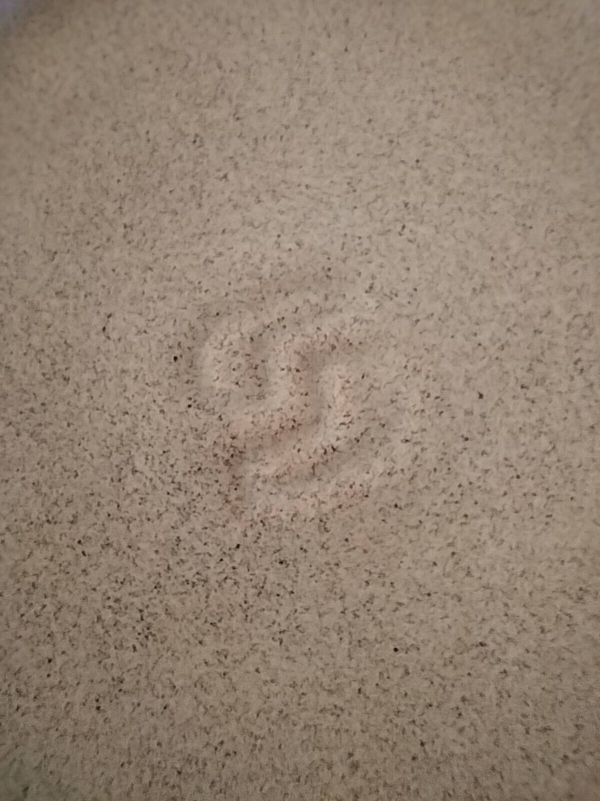 Stoneware coffee/tea pot from Sarreguemines, Lorraine, 70s.