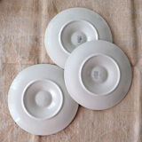 Set de 6 assiettes coquillages en barbotine "longchamp"