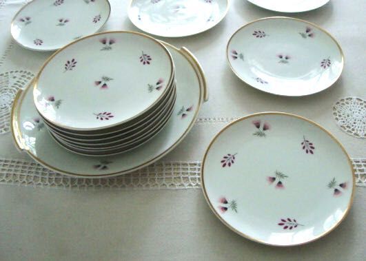 Set 12 plates and 1 porcelain dessert dish