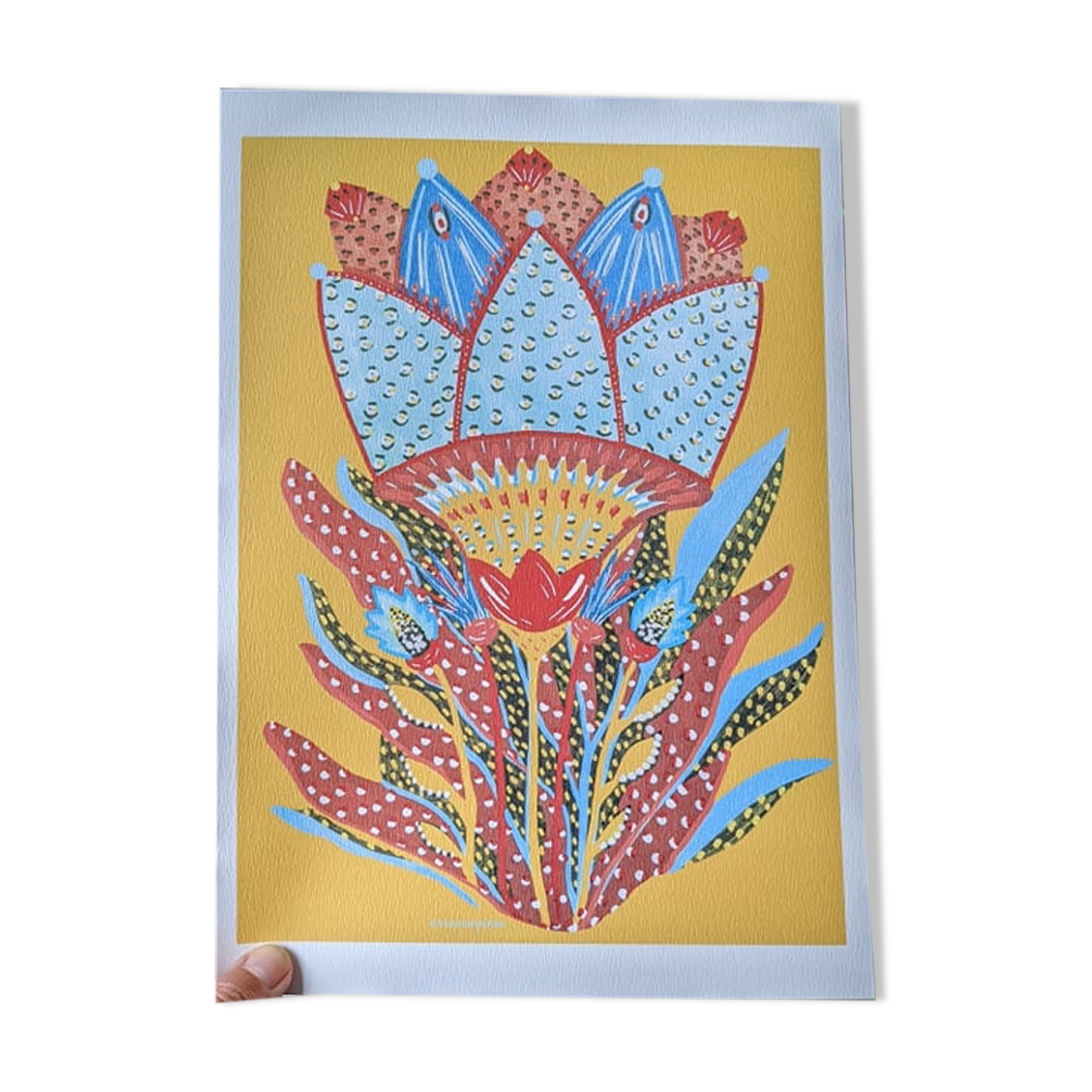 illustration yellow flowers