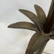 Vintage palm tree lamp base 1960s brass mid century
