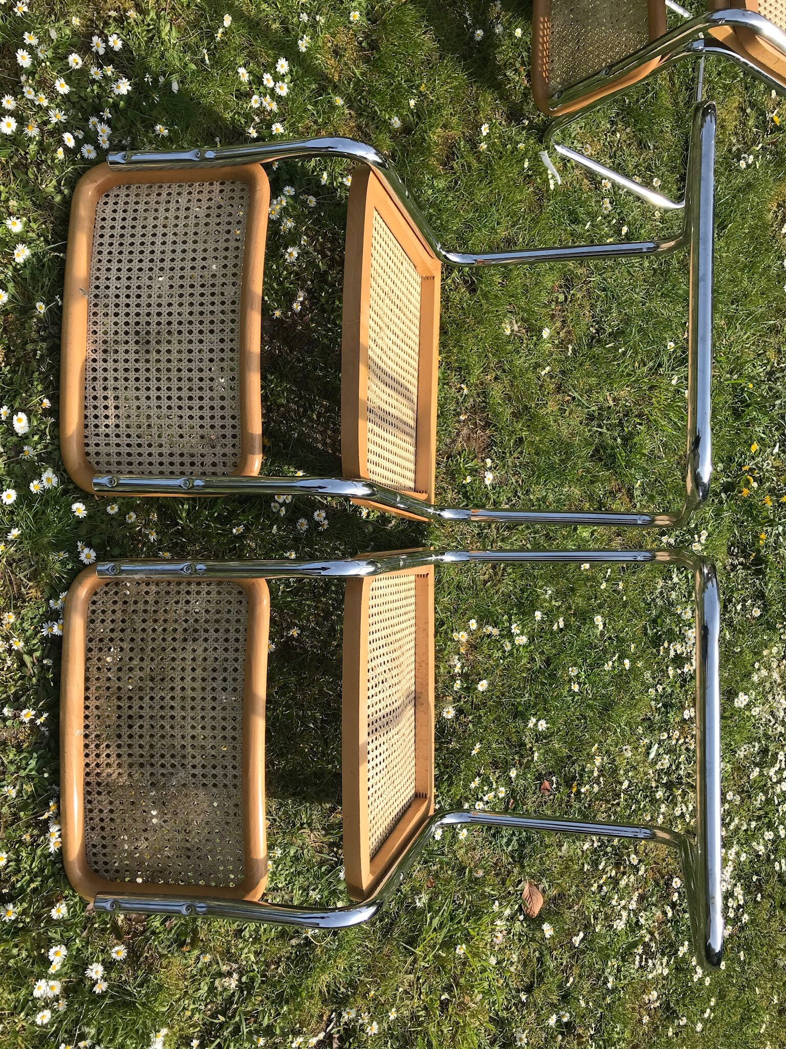 Set of 6 chairs cesca b32 design Marcel Breuer italy