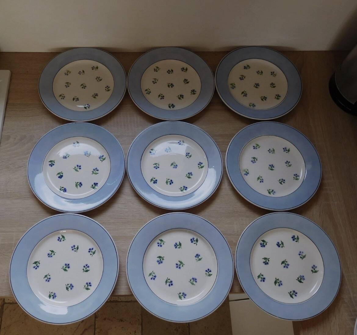 Flat plates Digoin Sarreguemines model Albe